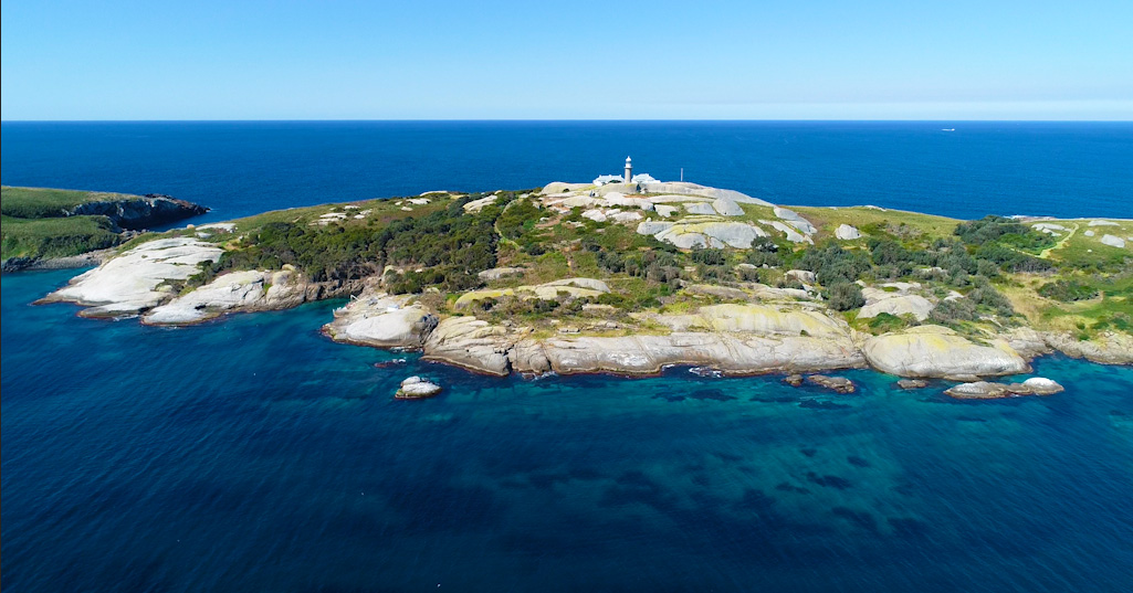 Montague Island Tours